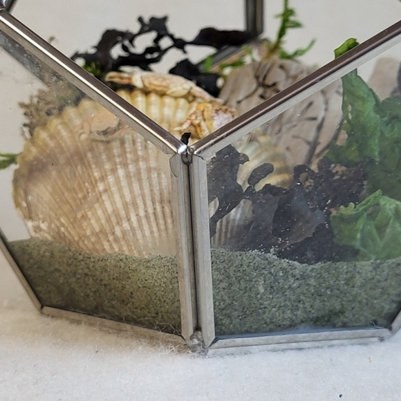 Ethically Sourced Ocean Scene in Terrarium - Picture 7 of 11